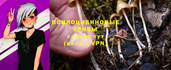 ALPHA-PVP Заволжск