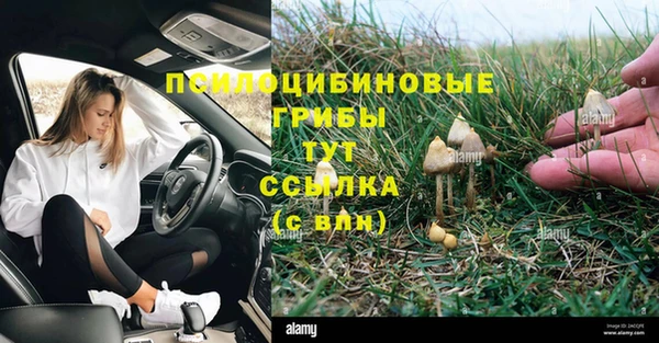 PSILOCYBIN Заволжье