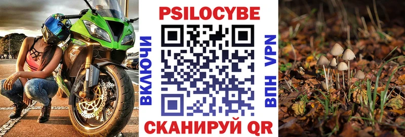 Купить  Давлеканово  Галлюциногенные грибы MAGIC MUSHROOMS 
